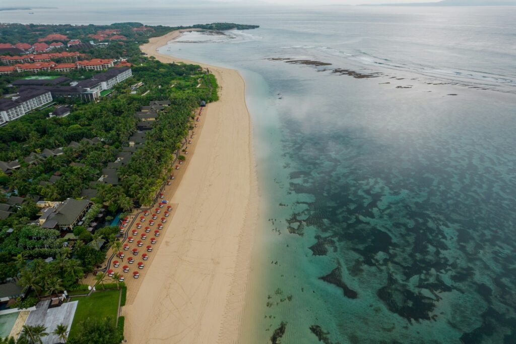 An aerial view of a beach and ocean